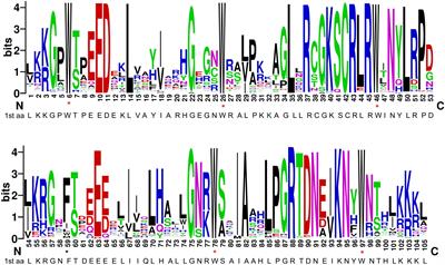R2R3-MYBs in Durum Wheat: Genome-Wide Identification, Poaceae-Specific Clusters, Expression, and Regulatory Dynamics Under Abiotic Stresses